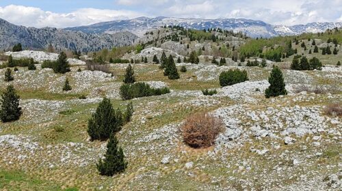Atemberaubende Landschaft und schwere Schotterpiste (Bosnien-Herzegowina) Atemberaubende Landschaft und schwere Schotterpiste (Bosnien-Herzegowina)